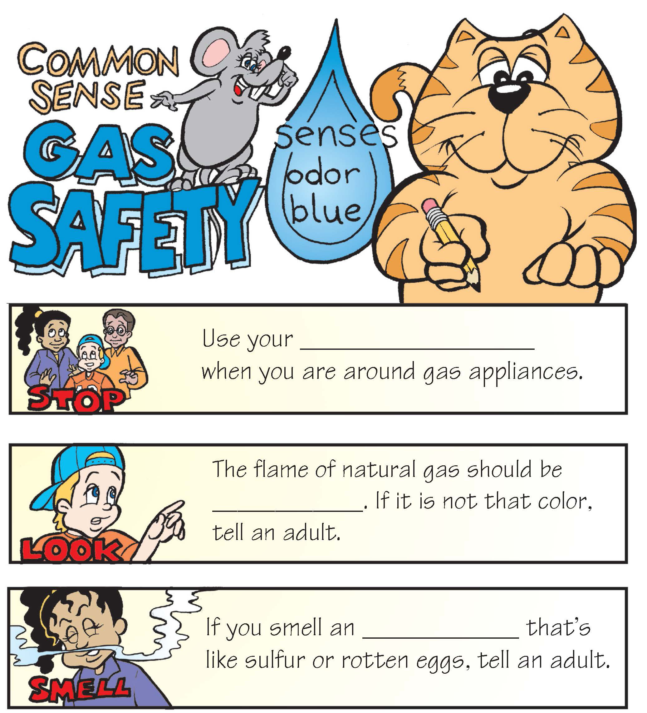 CommonSenseGasSafetyActivity